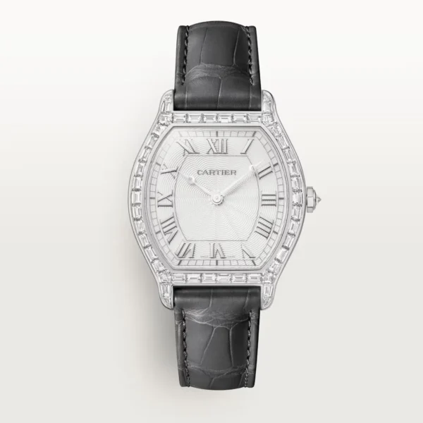 Reloj Tortue