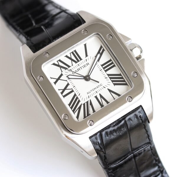 IMG_6727 Cartier Santos 100