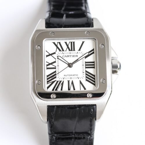 IMG_6728 Cartier Santos 100
