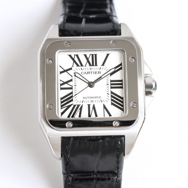 IMG_6728 Cartier Santos 100