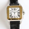IMG_6729 Cartier Santos 100