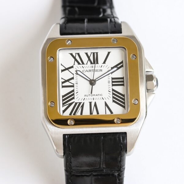 IMG_6729 Cartier Santos 100