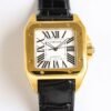 IMG_6730 Cartier Santos 100