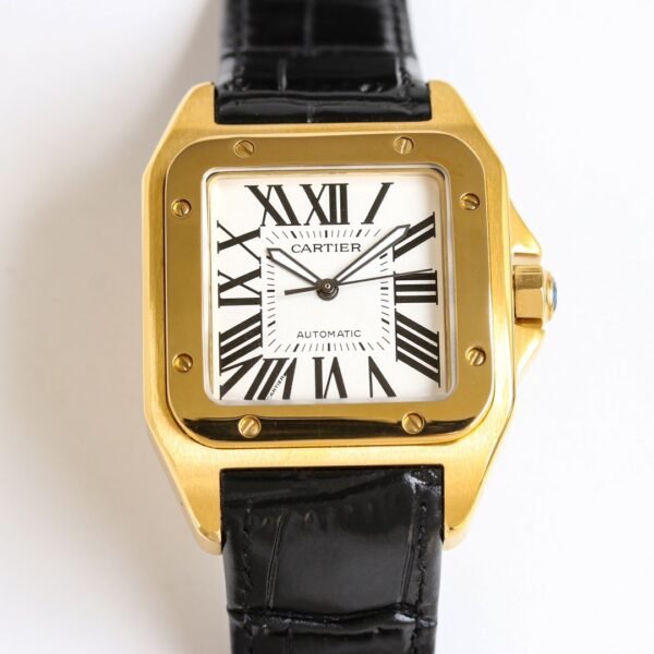 IMG_6730 Cartier Santos 100