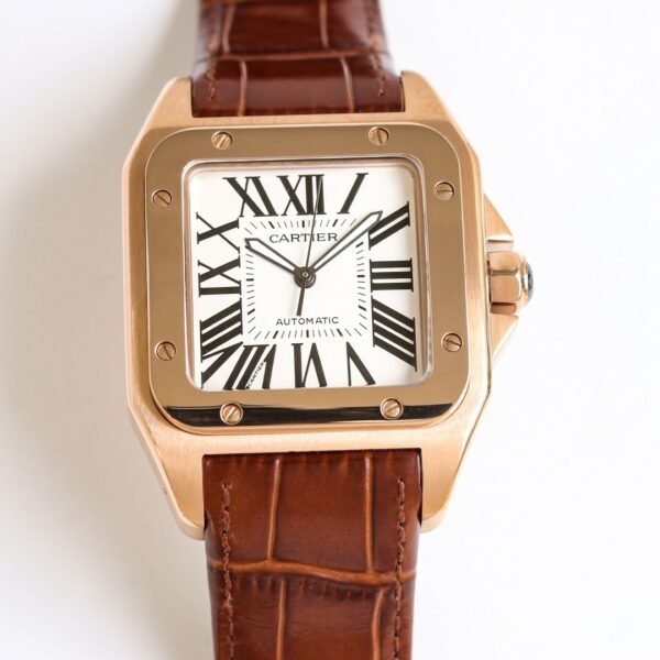 IMG_6731 Cartier Santos 100