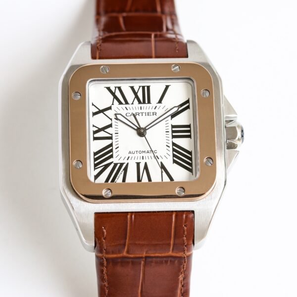 IMG_6732 Cartier Santos 100