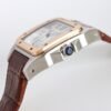 IMG_6733 Cartier Santos 100