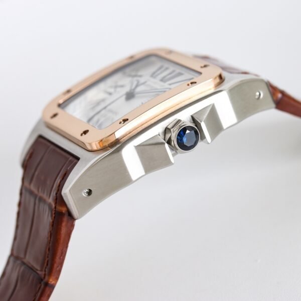IMG_6733 Cartier Santos 100