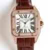 IMG_6736 Cartier Santos 100