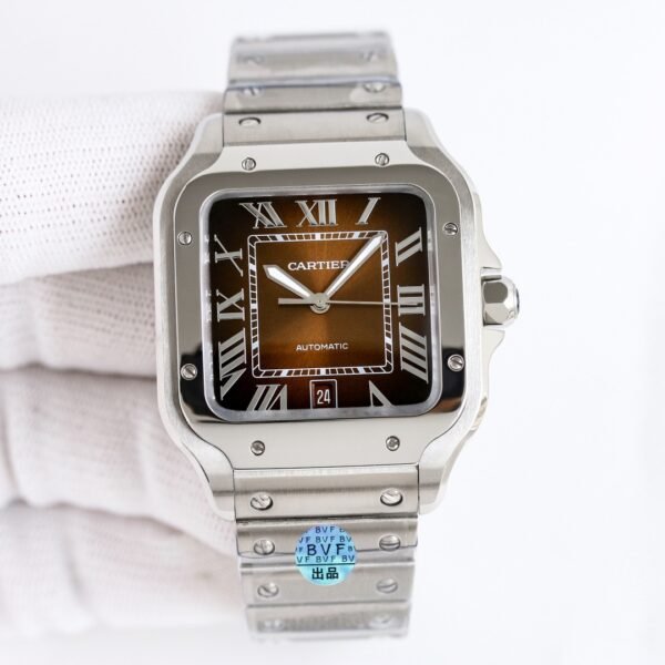 IMG_6791 Cartier santos