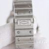 IMG_6798 Cartier santos