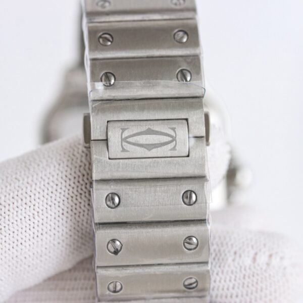 IMG_6798 Cartier santos