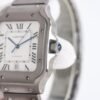 IMG_6806 Cartier santos
