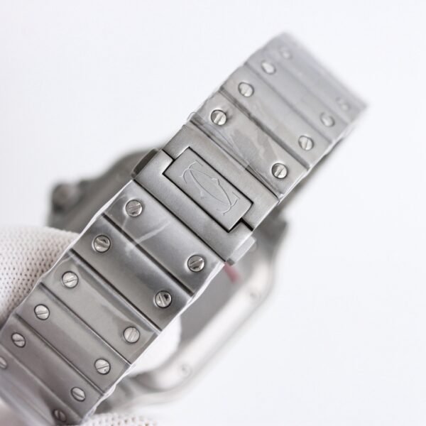 IMG_6807 Cartier santos