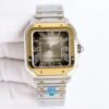 IMG_6811 Cartier santos
