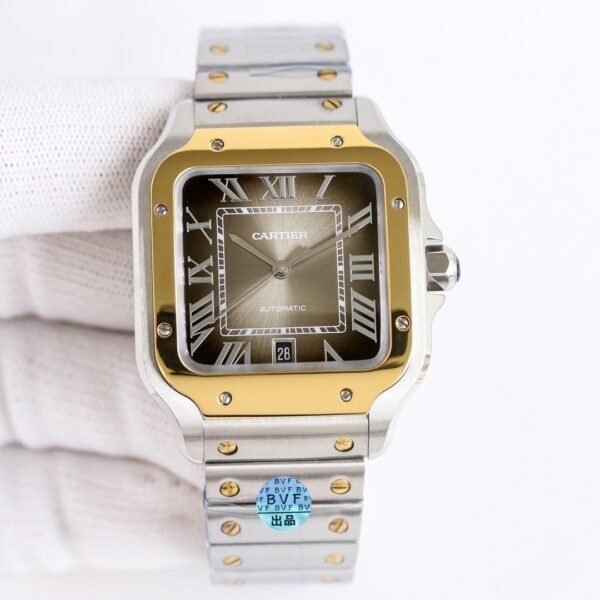 IMG_6811 Cartier santos