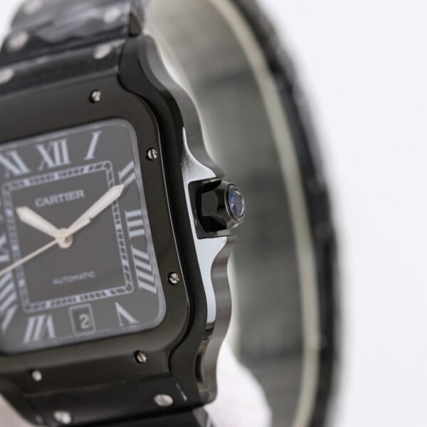 IMG_6815 Cartier santos