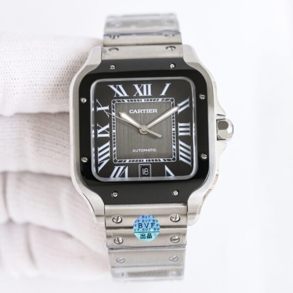 IMG_6818 Cartier santos