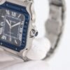 IMG_6824 Cartier santos