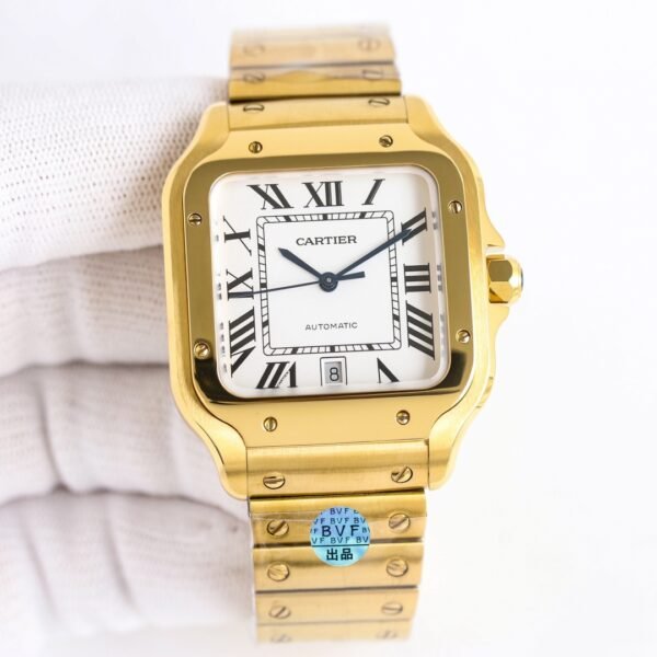 IMG_6827 Cartier santos