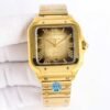 IMG_6829 Cartier santos