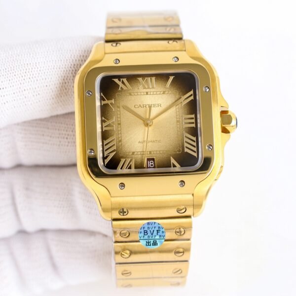 IMG_6829 Cartier santos