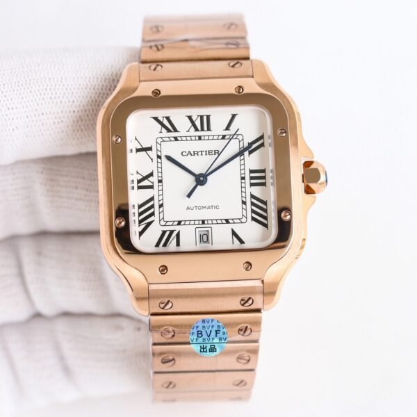 IMG_6831 Cartier santos