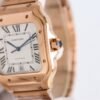 IMG_6833 Cartier santos