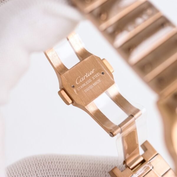 IMG_6834 Cartier santos