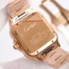 IMG_6835 Cartier santos