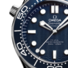 IMG_6839 Omega Seamaster Diver 300M 60 aniversario de James Bond