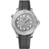 IMG_6867 SEAMASTER DIVER 300M 42 mm pulsera de caucho