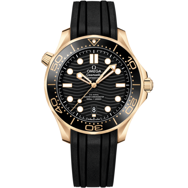 IMG_6876 SEAMASTER DIVER 300M 42 mm pulsera de caucho